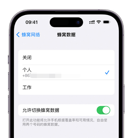 乐清苹果维修服务分享如何在iPhone上使用双卡 